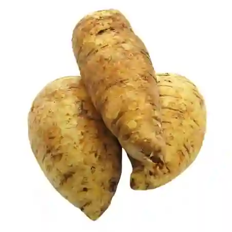 Arracacha